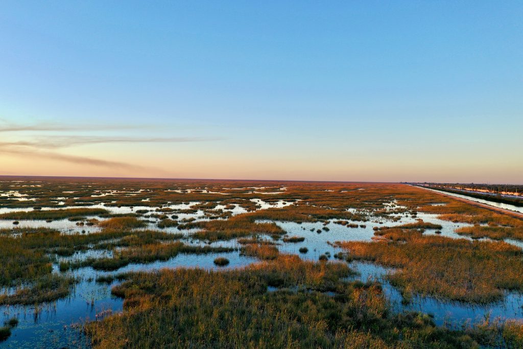 Everglades Flórida